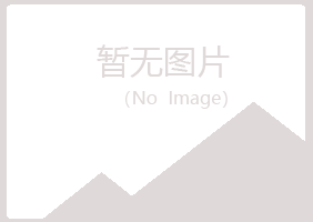 镇雄县冰夏化学有限公司